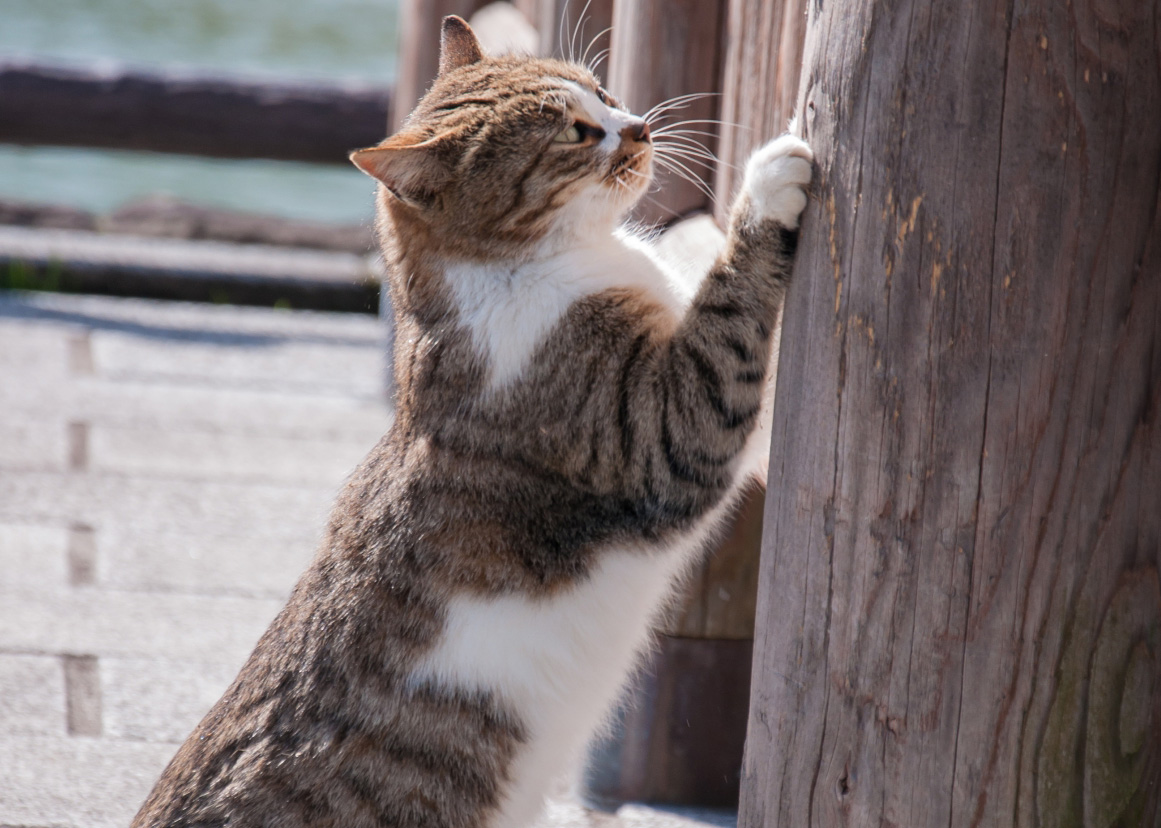 断熱について